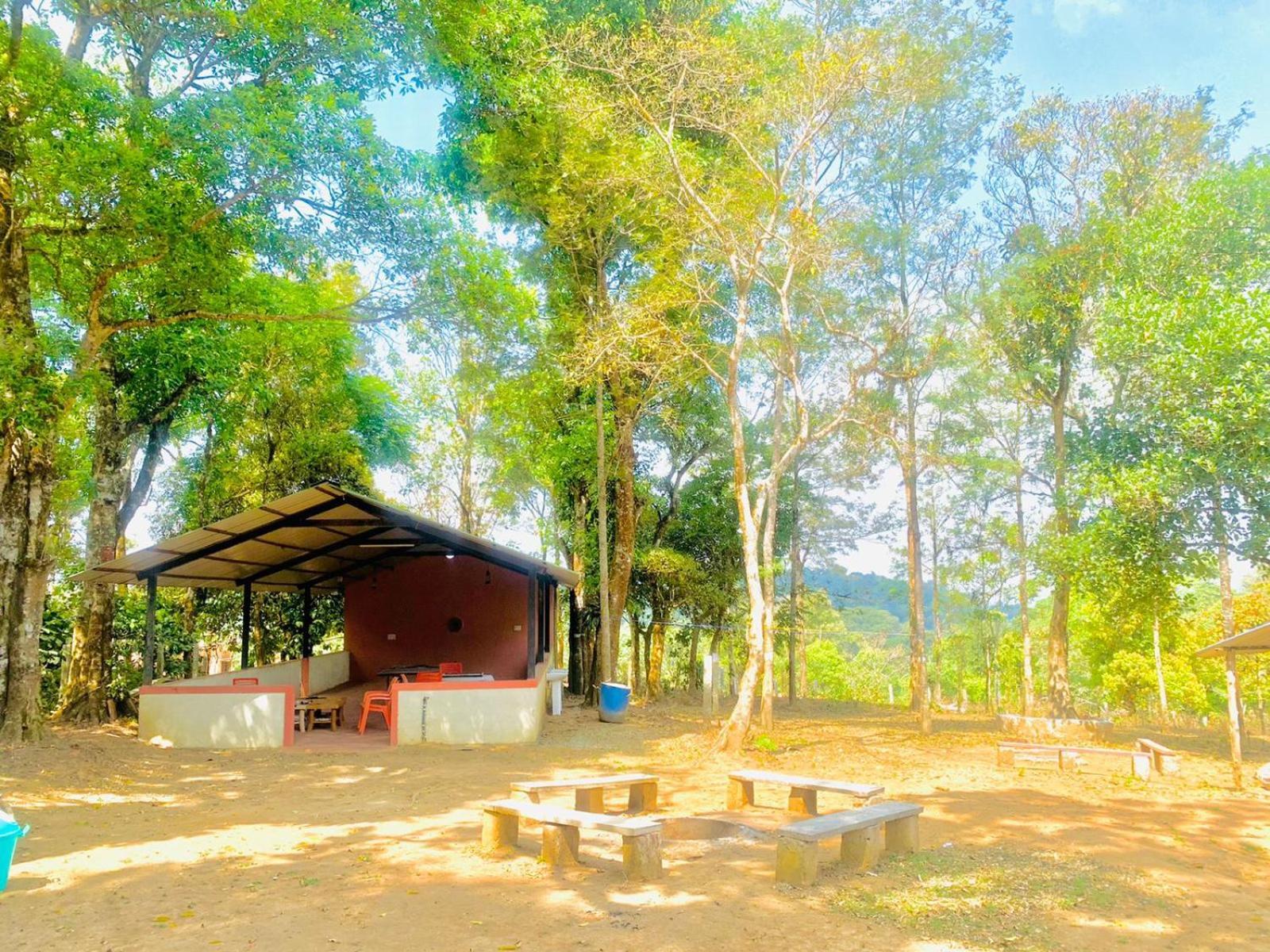 Shrenya Orchidz-Coorg Nature Stay มาดิเครี ภายนอก รูปภาพ